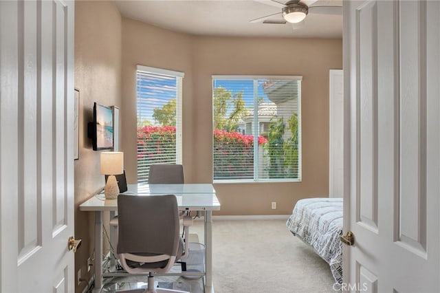 bedroom with carpet and ceiling fan