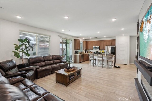 living room with light hardwood / wood-style flooring