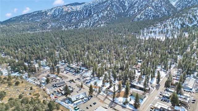 bird's eye view featuring a mountain view