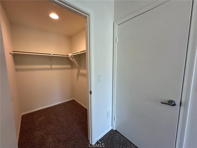 walk in closet with carpet floors