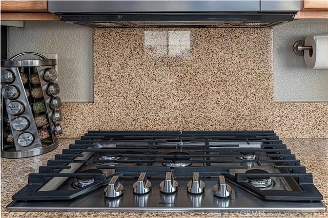 interior details featuring stainless steel gas stovetop and premium range hood