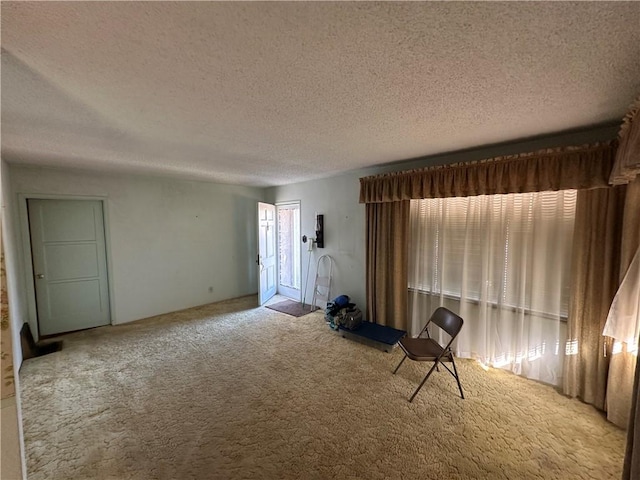 unfurnished room with a textured ceiling and carpet flooring