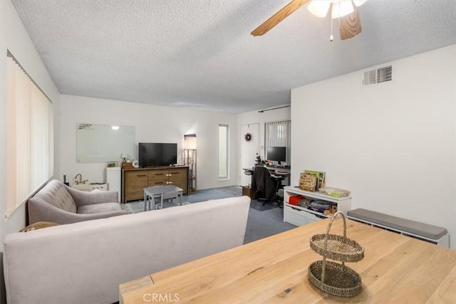 living room with ceiling fan, plenty of natural light, a textured ceiling, and carpet