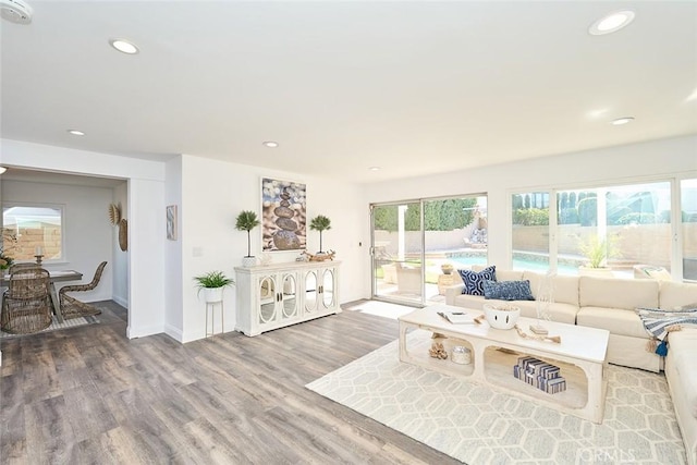 living room with hardwood / wood-style floors