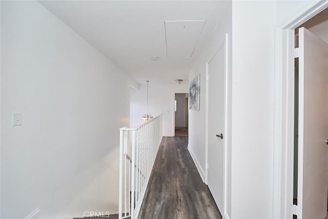 corridor with dark wood-type flooring