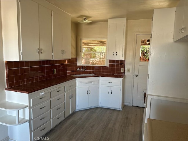 kitchen with decorative backsplash, sink, and white cabinets