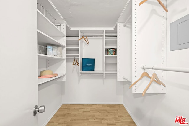 spacious closet featuring light hardwood / wood-style flooring