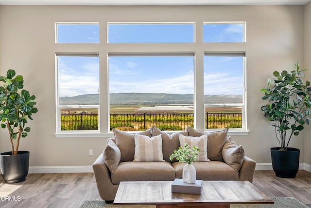 living room with light wood-type flooring and a mountain view