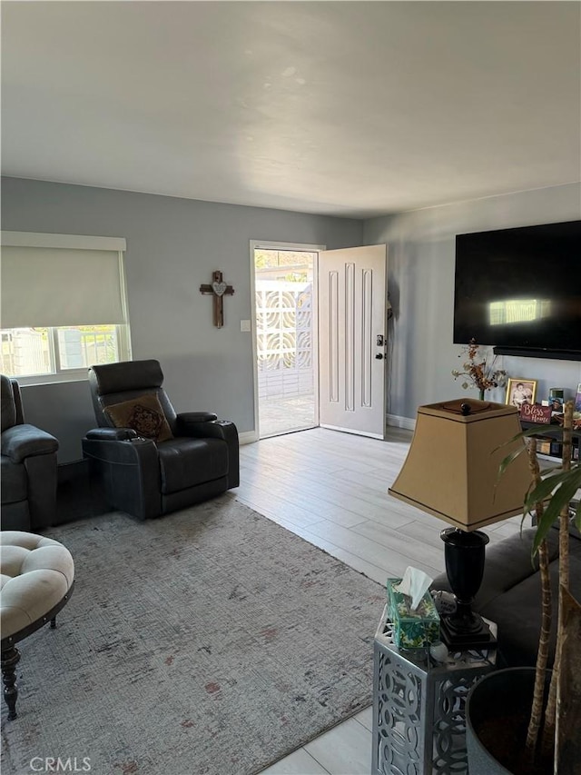 living room with light wood-type flooring