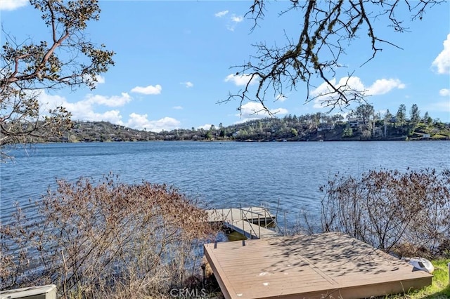 dock area with a water view