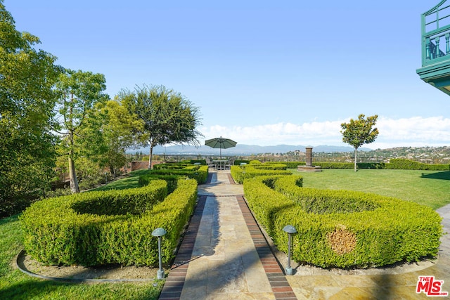 view of property's community with a mountain view and a yard