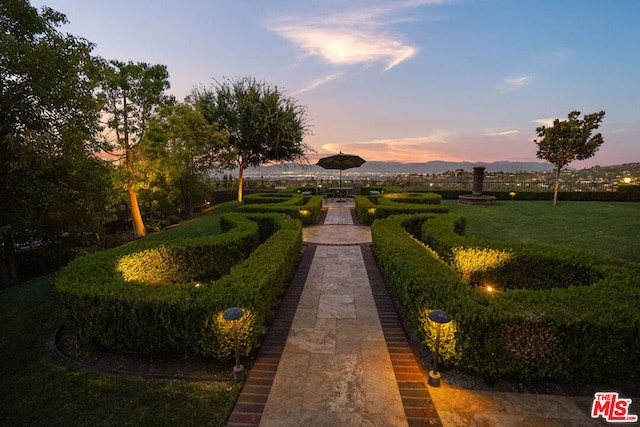 view of property's community featuring a lawn and a mountain view