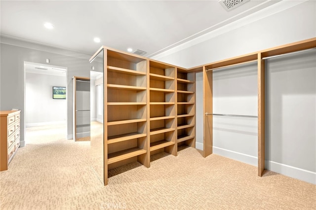 spacious closet featuring light colored carpet