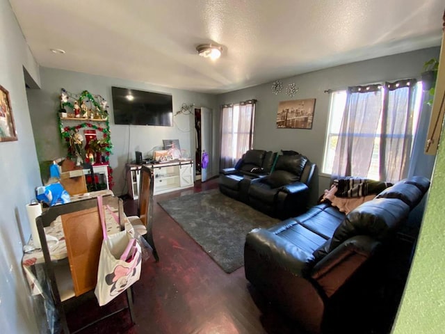 living room featuring a textured ceiling