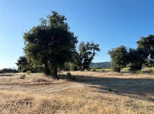 view of landscape featuring a rural view