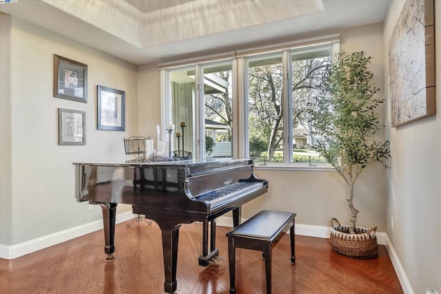 misc room featuring wood-type flooring, a tray ceiling, and a wealth of natural light