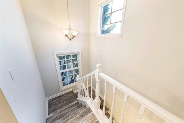 stairs featuring wood-type flooring and an inviting chandelier