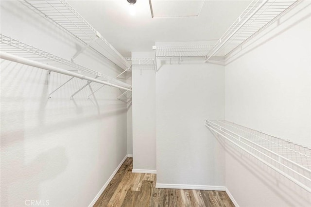 walk in closet with wood-type flooring