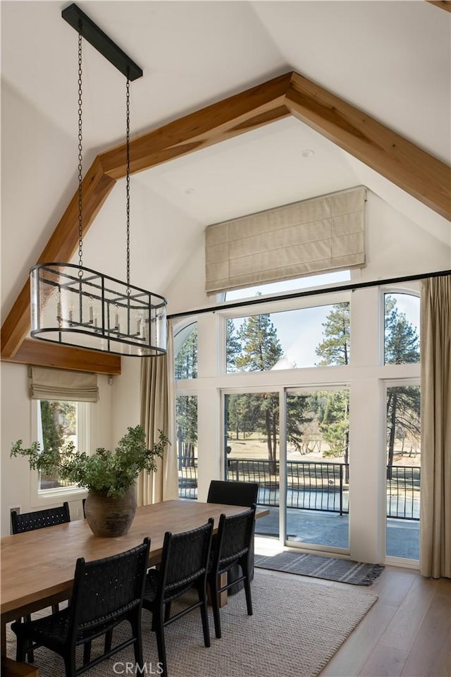 dining area with hardwood / wood-style flooring and high vaulted ceiling