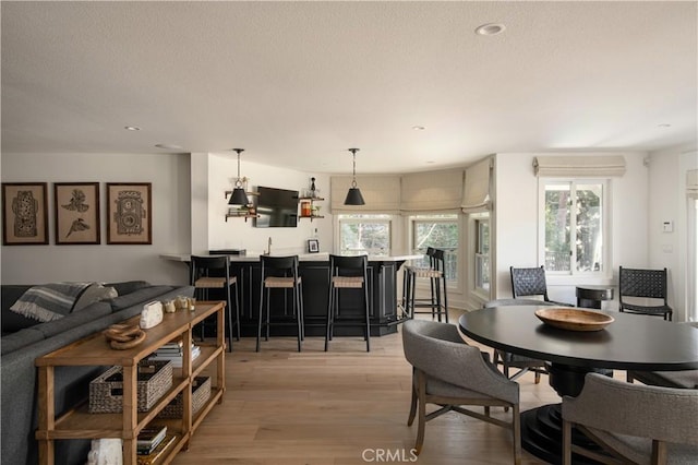 dining room featuring a wealth of natural light and light hardwood / wood-style flooring