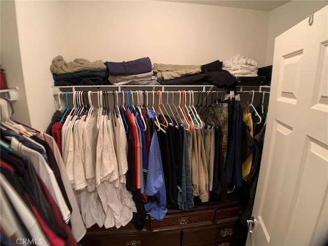 view of spacious closet