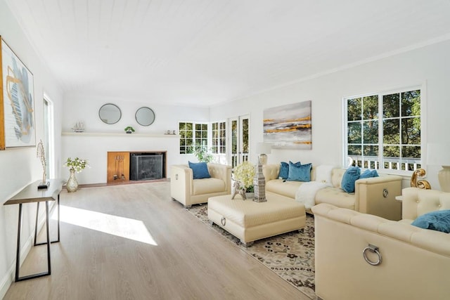 living room featuring light wood-type flooring