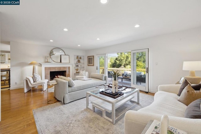 living room featuring a fireplace and light hardwood / wood-style floors