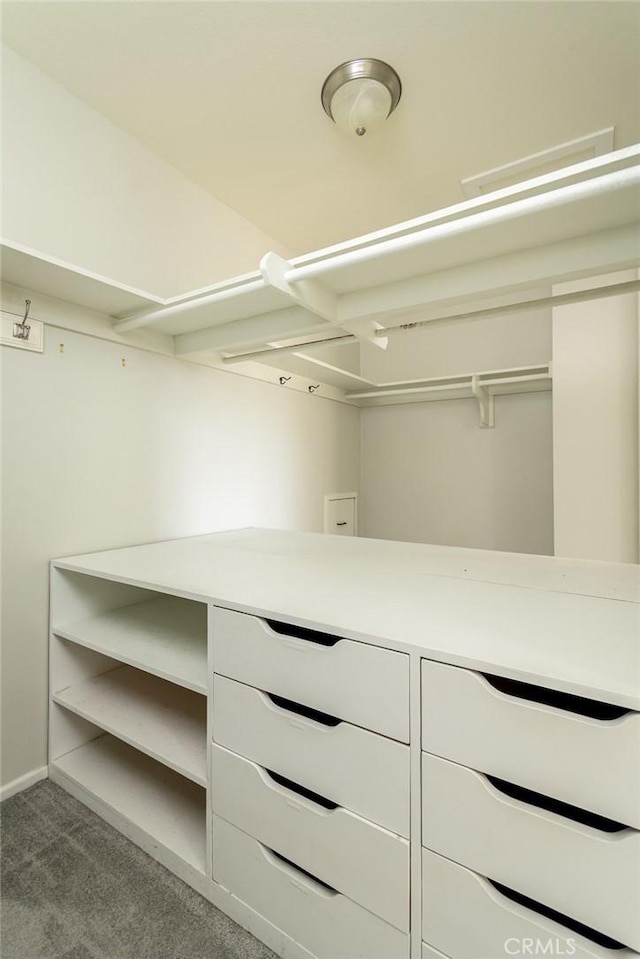 spacious closet with light colored carpet