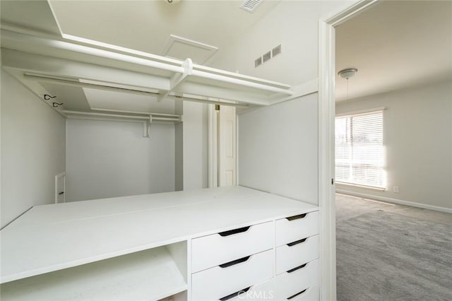 spacious closet with light colored carpet