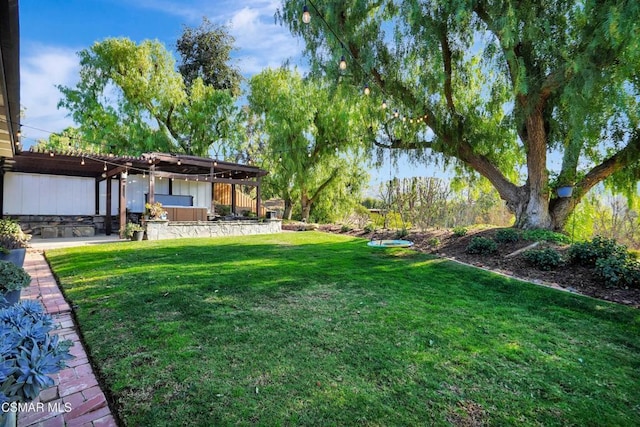 view of yard featuring a patio