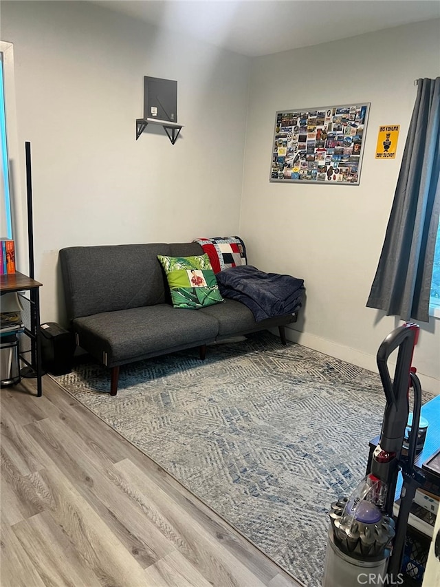 living room featuring hardwood / wood-style flooring