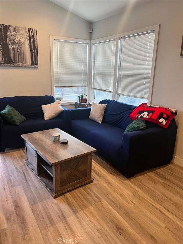 living room featuring light hardwood / wood-style flooring