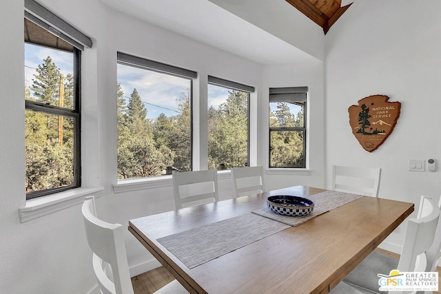 dining space featuring a wealth of natural light