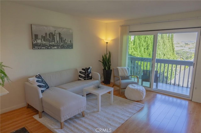 living room featuring hardwood / wood-style flooring