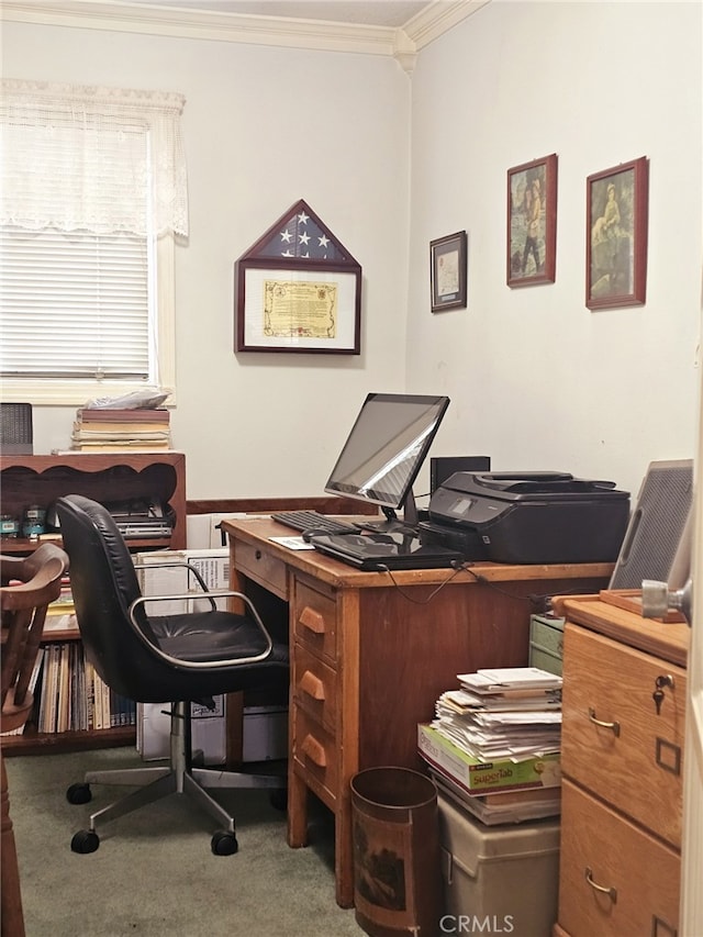 home office with carpet and crown molding