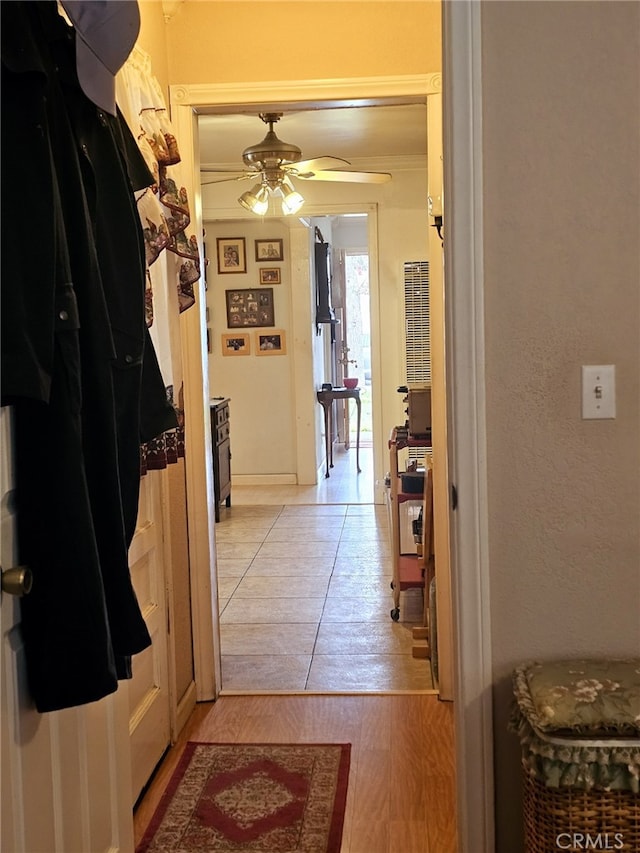 corridor featuring light hardwood / wood-style floors