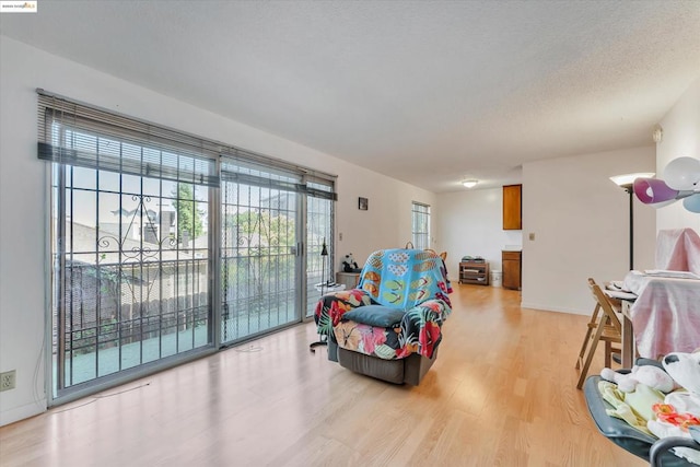 living room with light hardwood / wood-style flooring