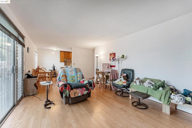 living room with light hardwood / wood-style flooring