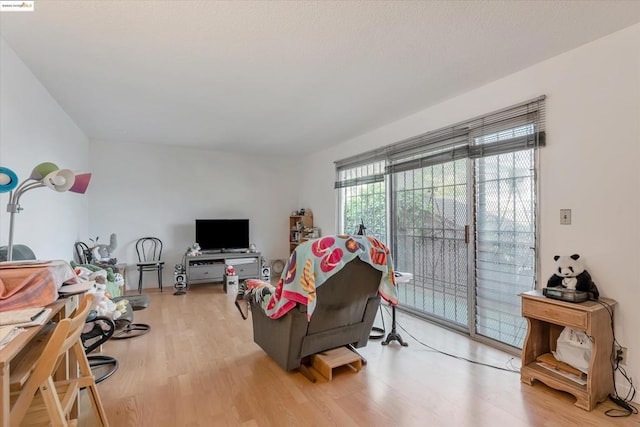 living area with light wood-type flooring