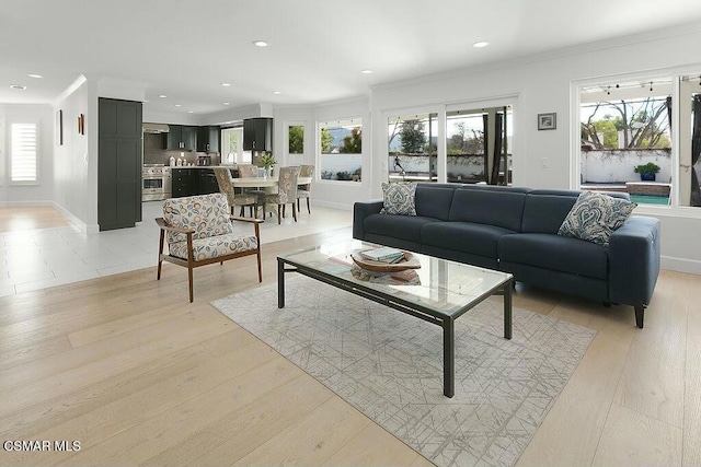 living room with crown molding and light hardwood / wood-style floors