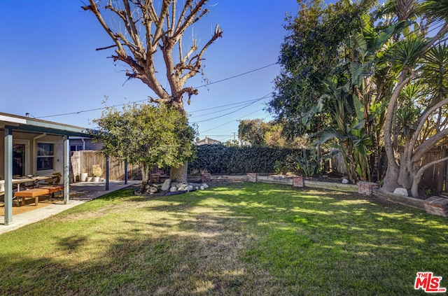 view of yard with a patio area