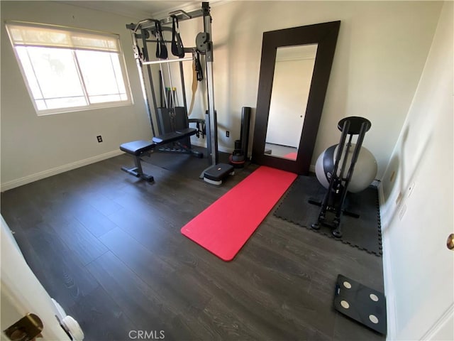 workout room featuring dark hardwood / wood-style flooring