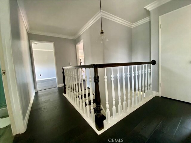 hall with crown molding and dark hardwood / wood-style flooring