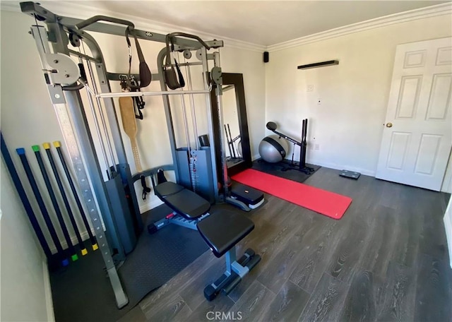 exercise area featuring ornamental molding and dark wood-type flooring