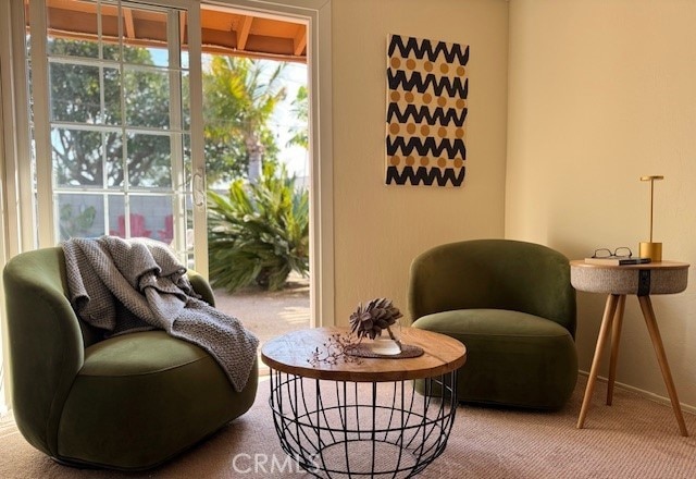 sitting room featuring baseboards and carpet flooring