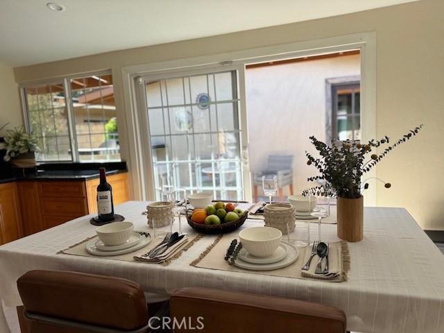 dining room featuring a wealth of natural light