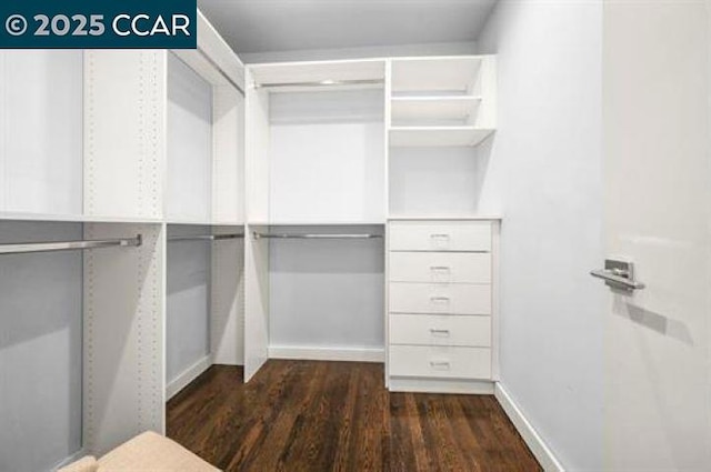 walk in closet featuring dark hardwood / wood-style floors