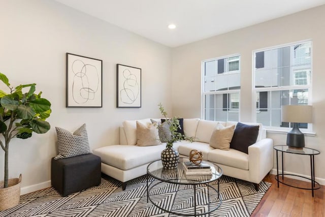 living room with wood-type flooring