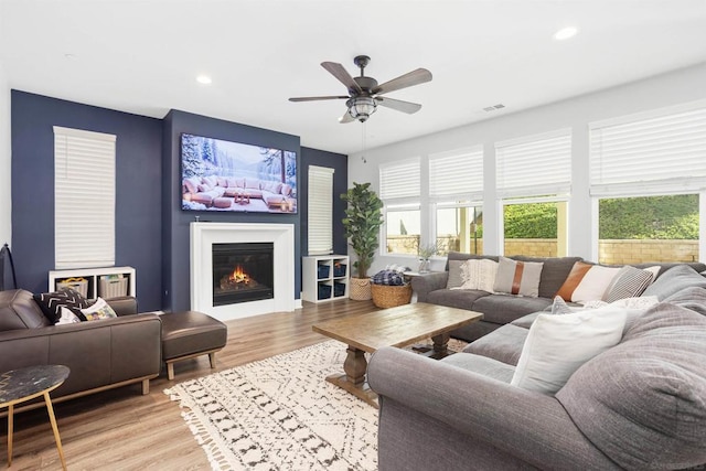 living room featuring ceiling fan and light hardwood / wood-style flooring