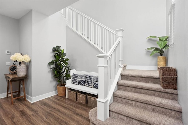 stairway featuring hardwood / wood-style floors